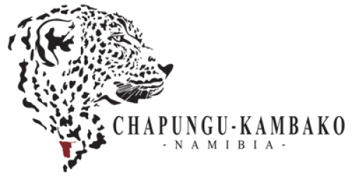 Chapungu-Kambako Namibia logo