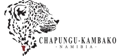 chapungu-namibia