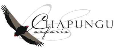 Chapungu Safaris Logo